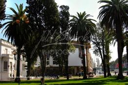 Image du Maroc Professionnelle de  Le Boulevard Mohammed V situé au Centre ville de Rabat est considéré comme la plus belle avenue du Maroc. Celle-ci nécessite une véritable rénovation. le 2 Mars 2007. (Photo / Abdeljalil Bounhar) 